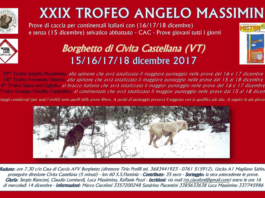 Trofeo Massimino: prove di caccia per continentali italiani, 15, 16, 17 e 18 dicembre trofeo massimino