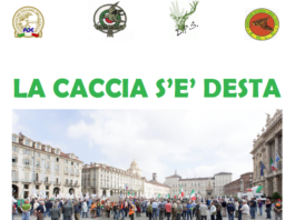 Save the date: 3 marzo 2018, i cacciatori piemontesi scenderanno di nuovo in piazza cacciatori piemontesi