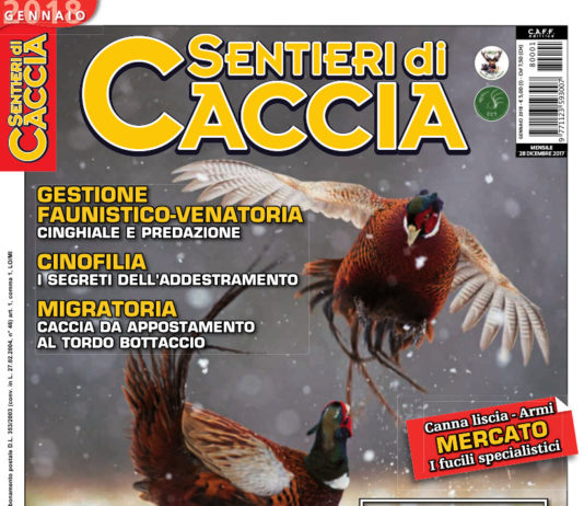 Sentieri di Caccia gennaio 2018 in edicola dal 28 dicembre Sentieri di Caccia gennaio 2018