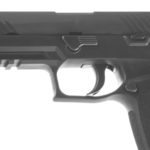 Sig Sauer M17