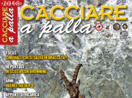 Cacciare a Palla febbraio 2018 in edicola dal 17 gennaio Cacciare a Palla febbraio 2018