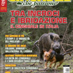 Cinghiale che passione febbraio-marzo 2018 in edicola dal 30 gennaio Cinghiale che Passione febbraio-marzo 2018