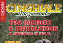 Cinghiale che passione febbraio-marzo 2018 in edicola dal 30 gennaio Cinghiale che Passione febbraio-marzo 2018