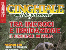 Cinghiale che passione febbraio-marzo 2018 in edicola dal 30 gennaio Cinghiale che Passione febbraio-marzo 2018