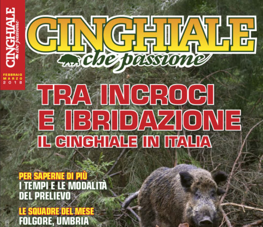 Cinghiale che passione febbraio-marzo 2018 in edicola dal 30 gennaio Cinghiale che Passione febbraio-marzo 2018
