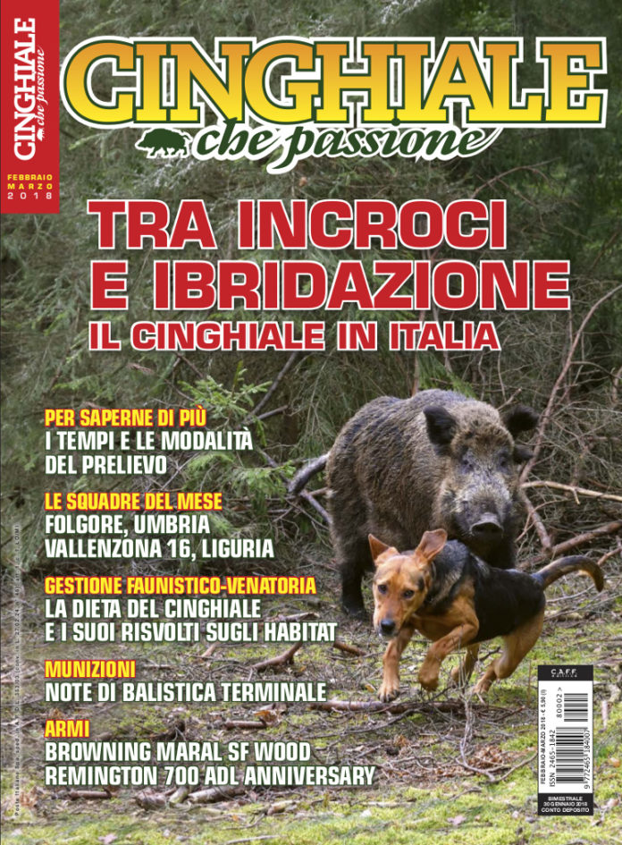 Cinghiale che Passione febbraio-marzo 2018