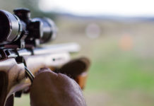 I numeri della questura di Piacenza nel 2017 questura di Piacenza licenze di porto d'armi