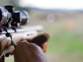 I numeri della questura di Piacenza nel 2017 questura di Piacenza licenze di porto d'armi