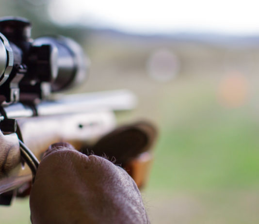 I numeri della questura di Piacenza nel 2017 questura di Piacenza licenze di porto d'armi