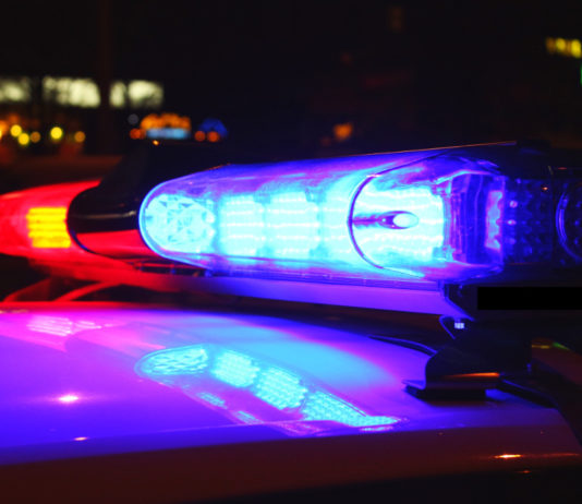 Parte un colpo da pistola del fidanzato, morta studentessa di 21 anni