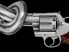 Verso il referendum sulla Direttiva Armi Pistola nodo