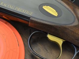 F.A.I.R. Racing Prestige Sporting: per chi vuole di più Racing Prestige Sporting