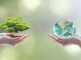 Tutela ambientale: firmato un accordo tra Arma dei Carabinieri e Ispra Carabinieri