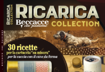 Ricarica Collection, in edicola dal 2 febbraio Ricarica Collection