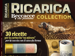 Ricarica Collection, in edicola dal 2 febbraio Ricarica Collection
