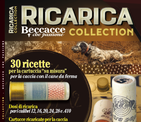 Ricarica Collection, in edicola dal 2 febbraio Ricarica Collection