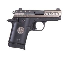 Sig Sauer P938 Stand