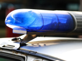 Teneva in casa arma del marito defunto, una denuncia a Spadola Teneva in casa arma del marito defunto, una denuncia a Spadola