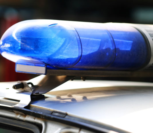 Teneva in casa arma del marito defunto, una denuncia a Spadola Teneva in casa arma del marito defunto, una denuncia a Spadola