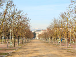 Tenta di rubare l’arma ai lagunari, arrestato nigeriano a Vicenza Deve rispondere di resistenza, minacce e lesioni a pubblico ufficiale e tentata rapina il trentottenne nigeriano che ha tentato di rubare l'arma ai lagunari nell'area di Campo Marzo, a Vicenza.