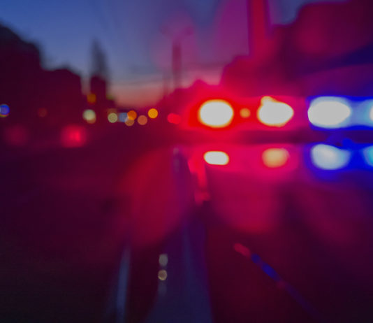 Villasanta: tenta di rubare in un box auto, ferito dai carabinieri Villasanta tenta di rubare in un box auto, ferito dai carabinieri