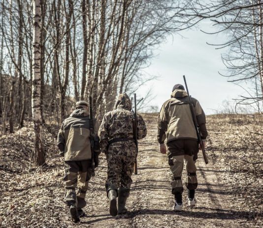 Incidenti a caccia: è responsabilità oggettiva? incidenti a caccia