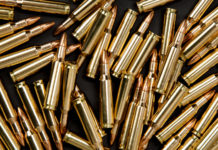 Aperture alle munizioni in piombo, passa la mozione del Pd