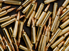 Aperture alle munizioni in piombo, passa la mozione del Pd