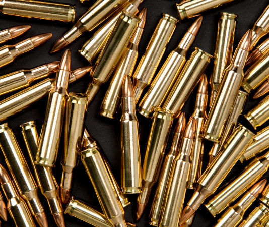 Aperture alle munizioni in piombo, passa la mozione del Pd