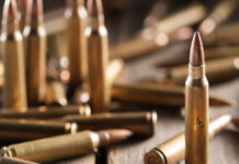 Il Pd Emilia Romagna rilancia i proiettili in piombo Bullet