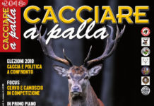 Cacciare a Palla marzo 2018 in edicola dal 17 febbraio Cacciare a Palla marzo 2018