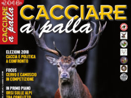 Cacciare a Palla marzo 2018 in edicola dal 17 febbraio Cacciare a Palla marzo 2018