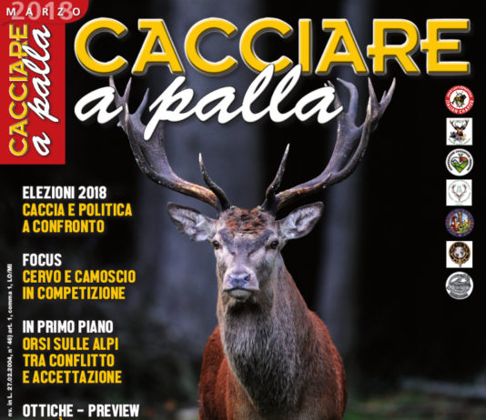 Cacciare a Palla marzo 2018 in edicola dal 17 febbraio Cacciare a Palla marzo 2018