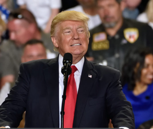 Armi, la stretta di Trump Donald Trump