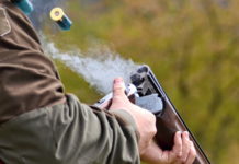 Incontro tra Forza Italia e la cabina di regia del mondo venatorio