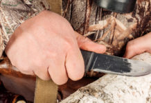 A Hit Show tavolo di lavoro internazionale sulla caccia