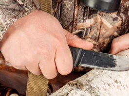 A Hit Show tavolo di lavoro internazionale sulla caccia