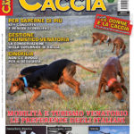 Sentieri di Caccia marzo 2018 in edicola dal 28 febbraio Sentieri di Caccia marzo 2018
