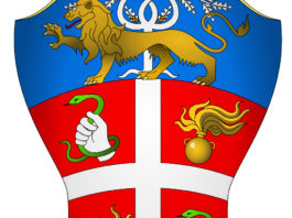 Parte colpo durante esercitazione, morto carabiniere Stemma carabinieri centrato