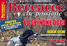 Beccacce che Passione 2 2018: in edicola dal 3 marzo beccacce che passione 2 2018