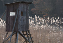 Un solo comitato per più Atc: ok del Consiglio di Stato Atc cds