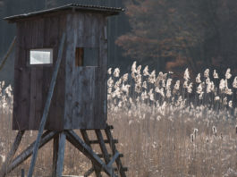 Un solo comitato per più Atc: ok del Consiglio di Stato Atc cds