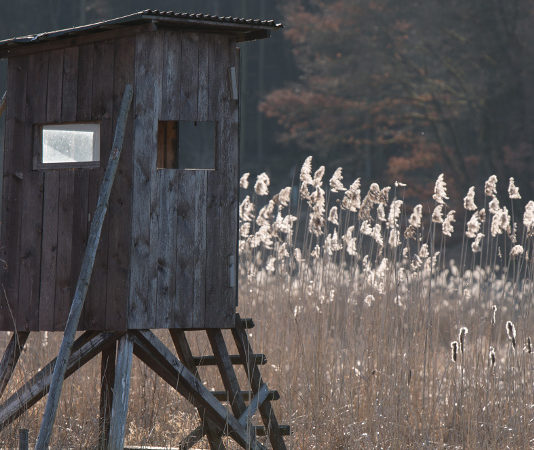 Un solo comitato per più Atc: ok del Consiglio di Stato Atc cds