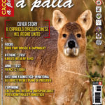 Cacciare a Palla aprile 2018 in edicola dal 17 marzo Cacciare a Palla aprile 2018