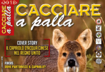 Cacciare a Palla aprile 2018 in edicola dal 17 marzo Cacciare a Palla aprile 2018