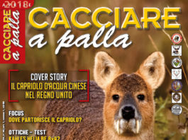 Cacciare a Palla aprile 2018 in edicola dal 17 marzo Cacciare a Palla aprile 2018