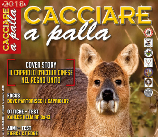 Cacciare a Palla aprile 2018 in edicola dal 17 marzo Cacciare a Palla aprile 2018