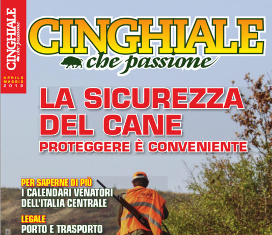 Cinghiale che Passione aprile-maggio 2018 in edicola dal 30 marzo Cinghiale che Passione aprile-maggio 2018