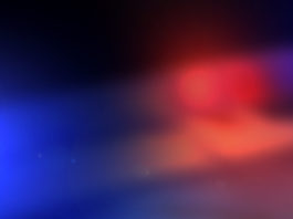 Fine settimana di denunce e sequestri nel napoletano Fine settimana di denunce e sequestri nel napoletano