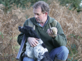 Caccia alla beccaccia: il contrasto della posta illegale caccia alla beccaccia